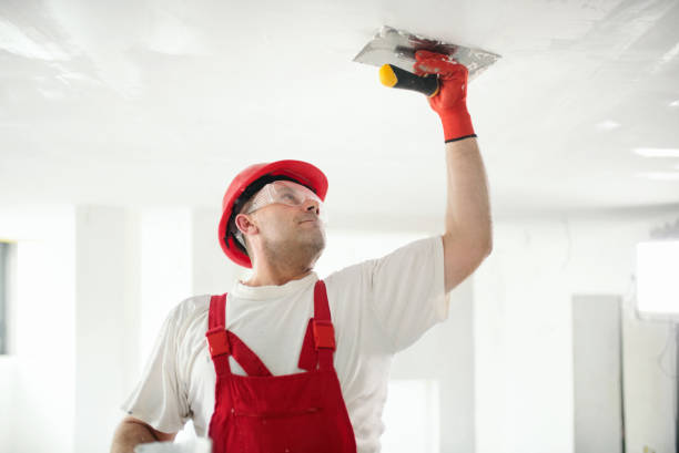 Best Repainting for Renovations  in Rural Hall, NC